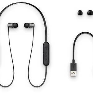 Wi300 sony 2025